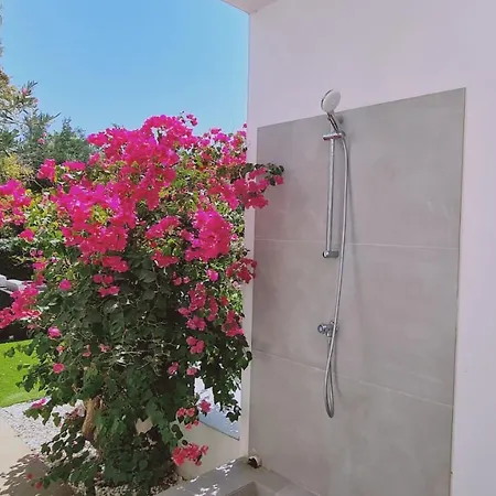 וילה Garden House פאראלימני